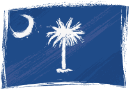 SC State Flag Icon